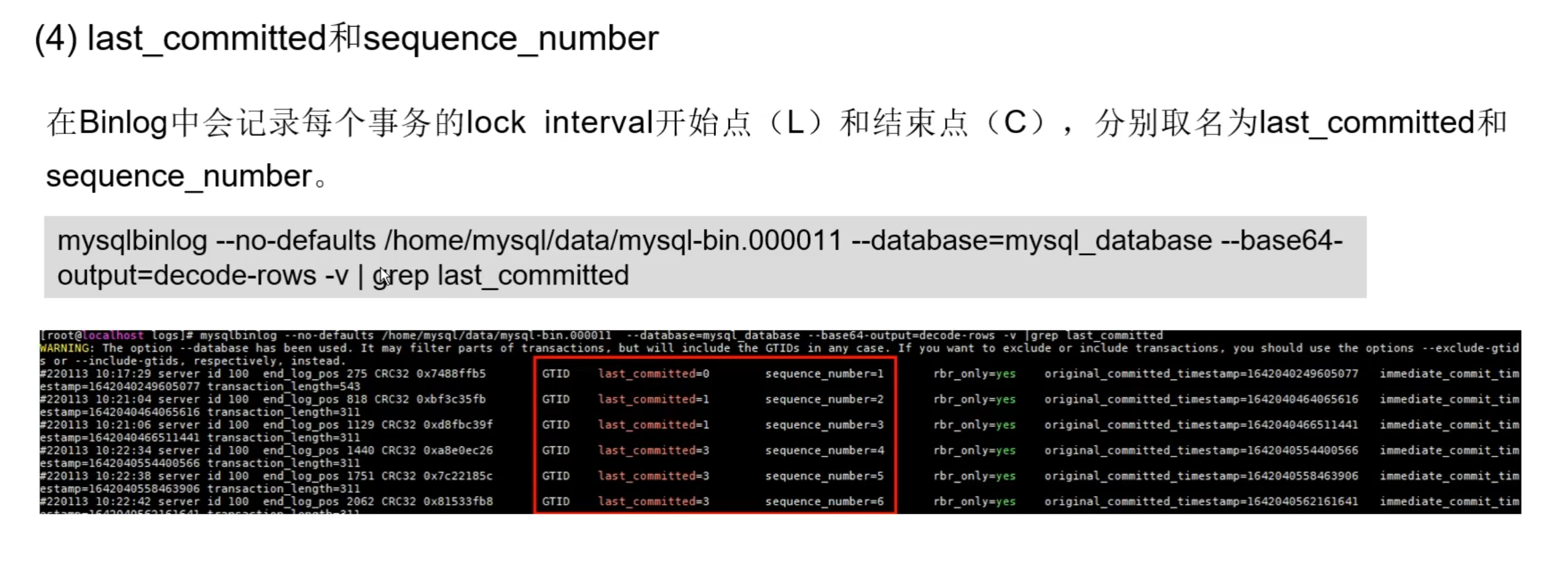 image-20231206193024943